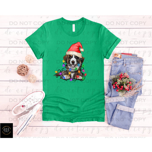 Australian Shepherd Christmas Lights