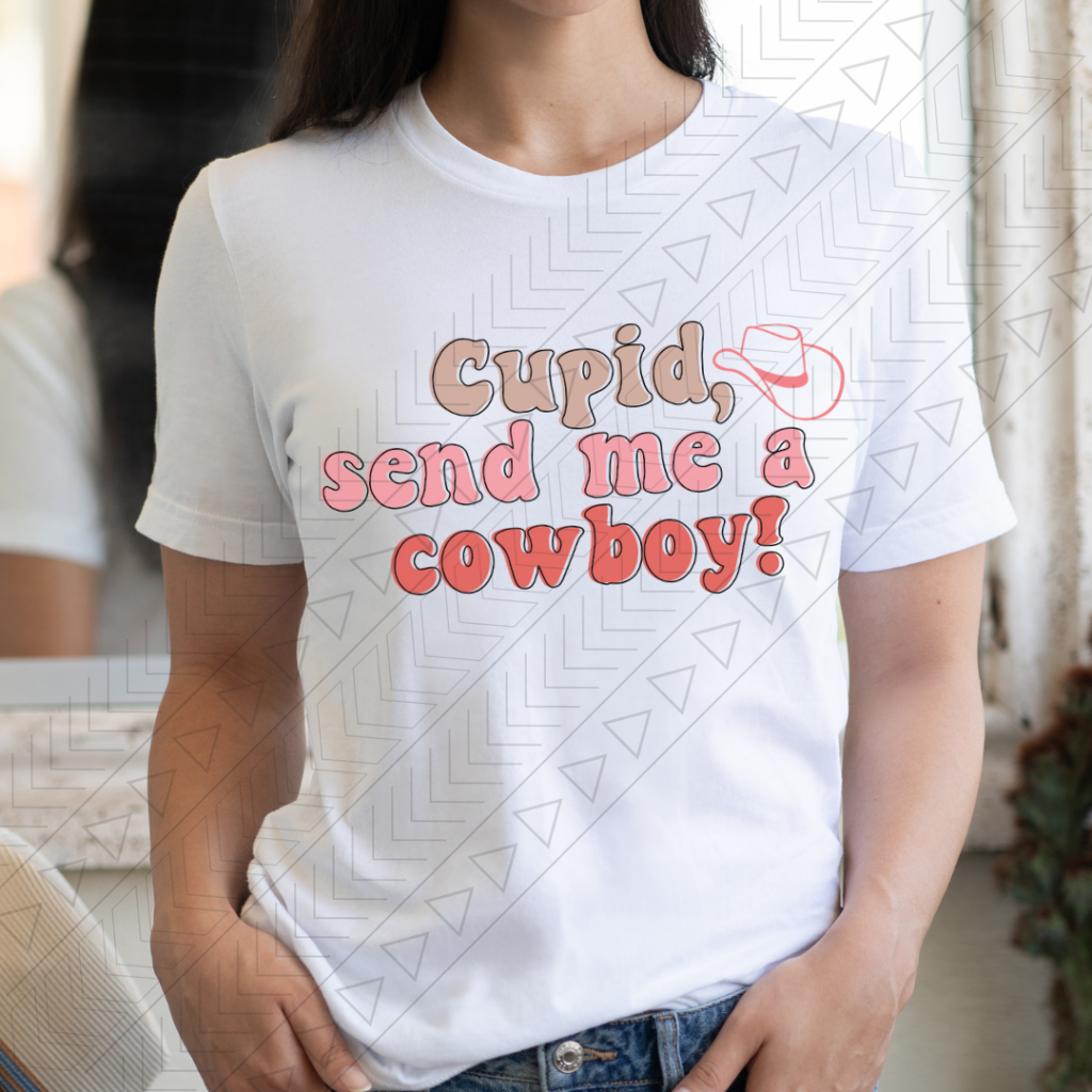 Send Me A Cowboy